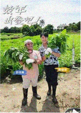 综艺节目
